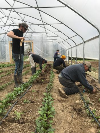 Planting at PrairiErth farm. (Photo courtesy of PrairiErth)