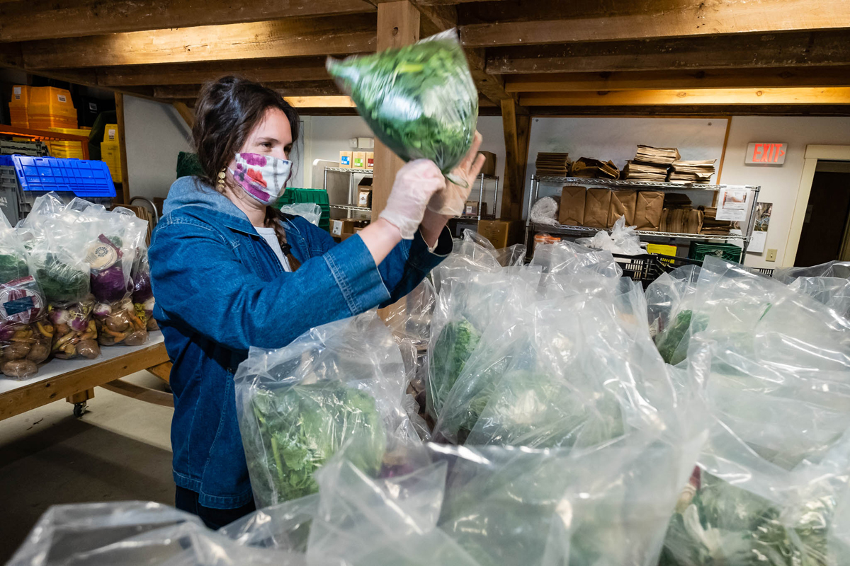 Bagging lettuce from local small farms at the Vermont Food Bank