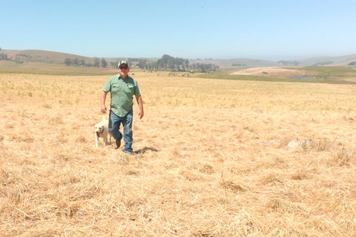 loren poncia of stemple creek ranch talks to civil eats tv about regenerative ranching during a pandemic