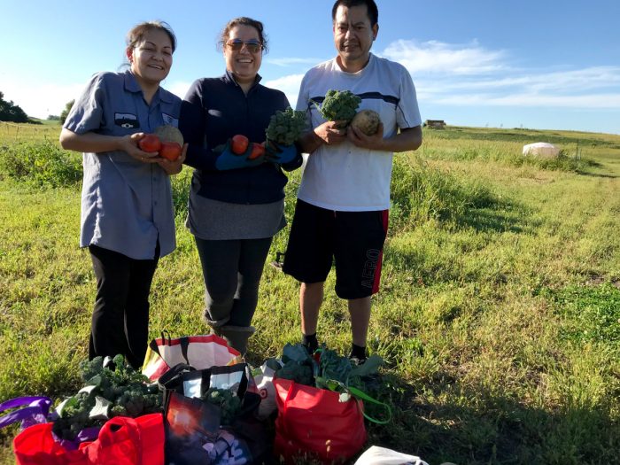 Araceli, Ana, and Arturo, farmers in Southeast Minnesota working on an Agrarian Commons farm.