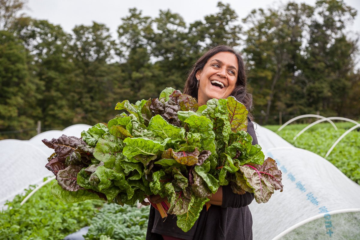 Jen Salinetti of Woven Roots Farm harvesting chard.