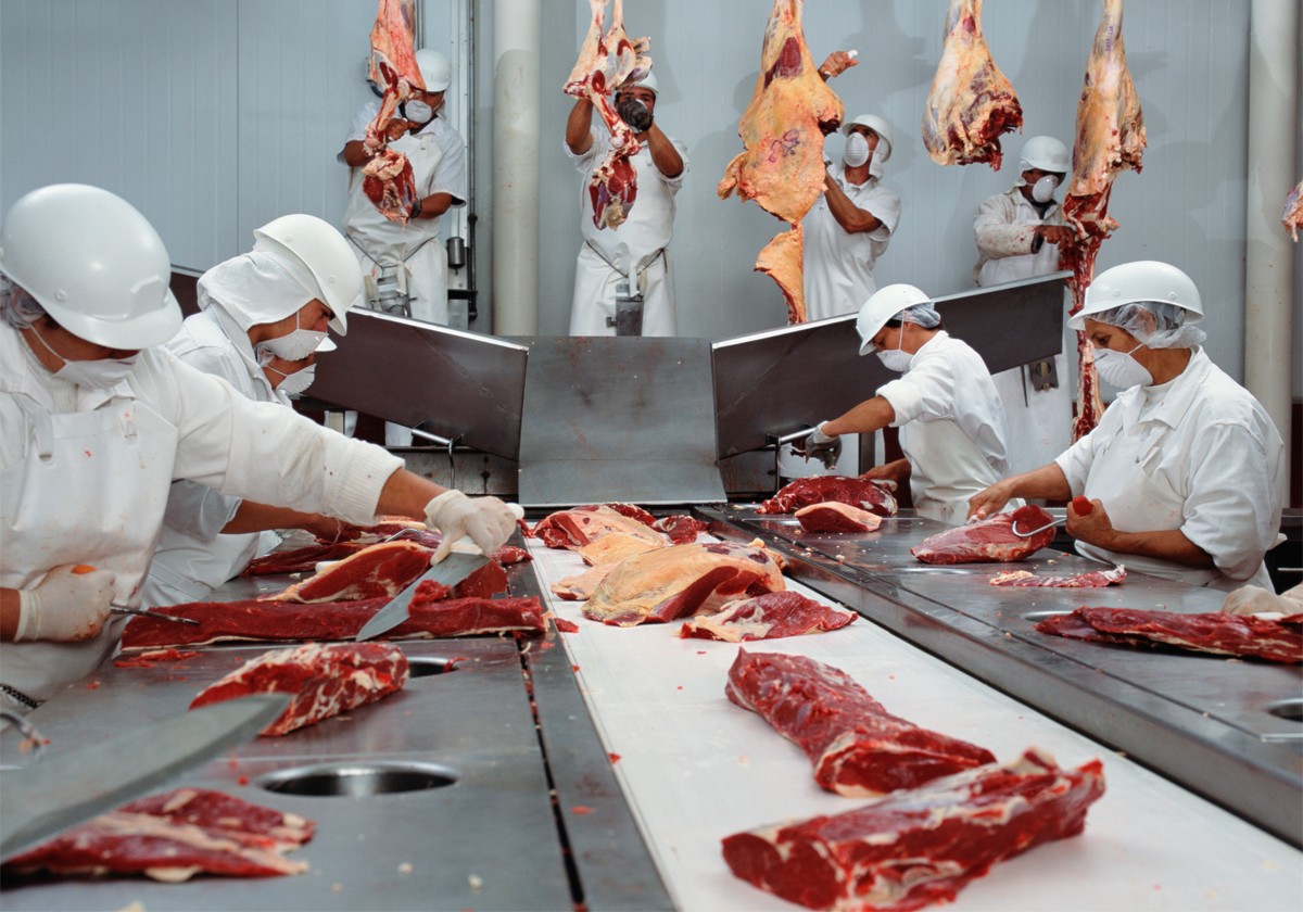 workers cutting meat in a slaughterhouse