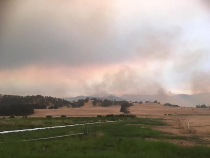 The LNU Lightning Complex wildfires burn in the Capay Valley. (Photo credit: Sally Fox)