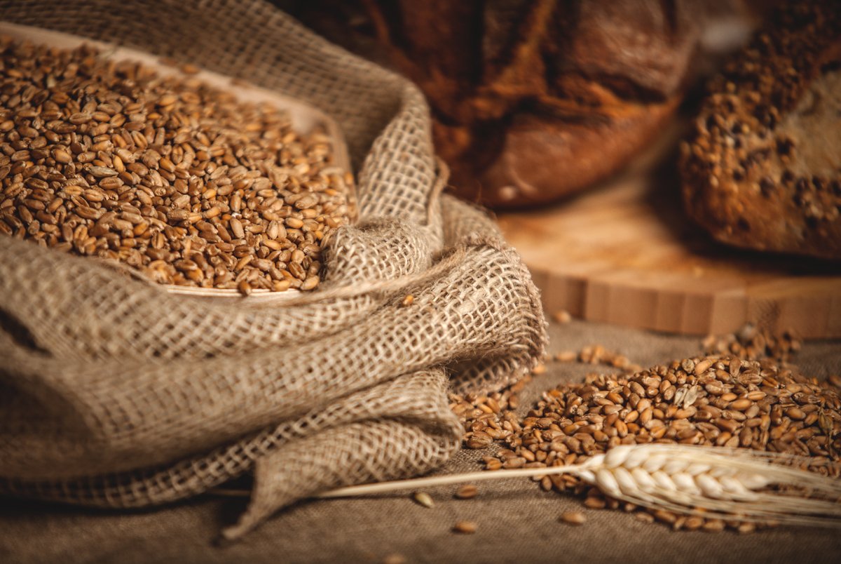 loaves of whole grain bread and freshly milled whole grain wheat