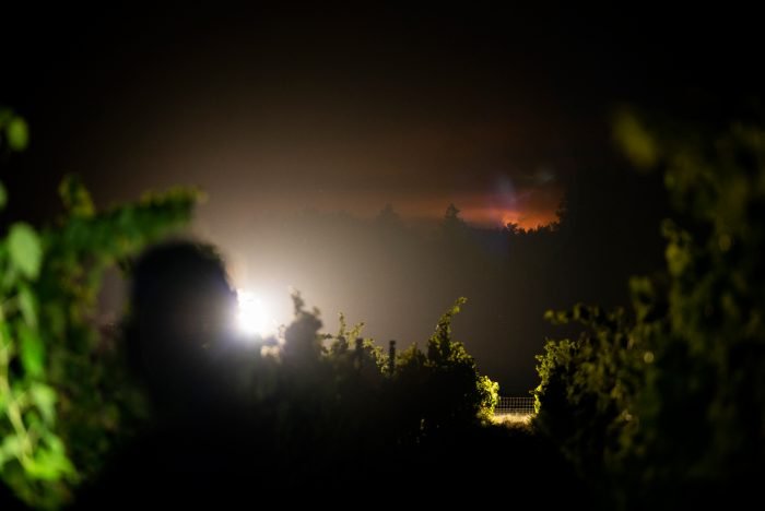 Vineyard workers harvest grapes at a winery in Sonoma County’s Dry Creek Valley as the Walbridge Fire burns one mile away. Vineyard workers, who are often exposed to environmental hazards, like pesticides, are now facing a pandemic that they are disproportionately affected by, wildfires, smoke, and a heat wave.