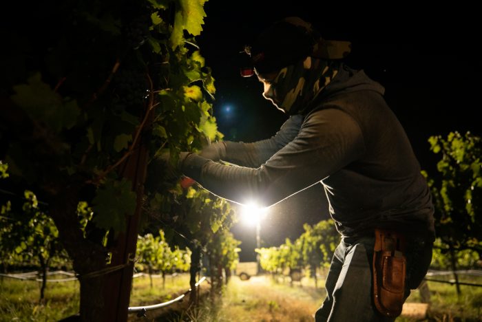 Sonoma County’s agricultural commissioner issued almost 300 permits to businesses to be able to continue functioning behind evacuation zone lines, putting vineyard workers without the necessary protective equipment at risk.