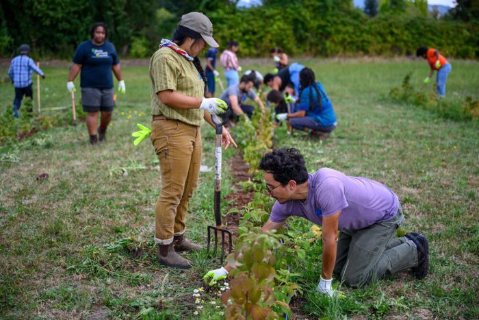 A group of people work in the fields at Ayeko Farm. (Photo courtesy of Ayeko Farm)