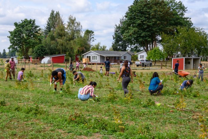 A group of people work in the fields at Ayeko Farm. (Photo courtesy of Ayeko Farm)