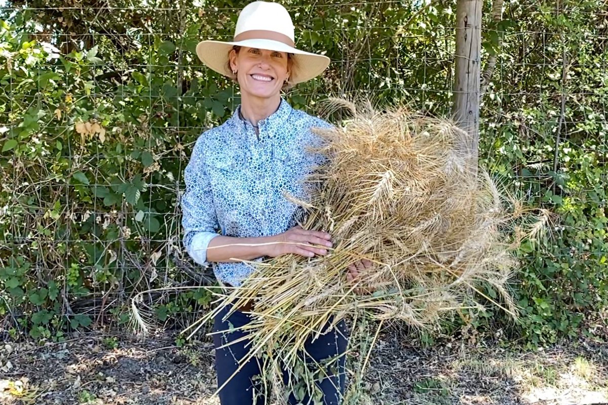 Elizabeth DeRuff of Honoré Farm and Mill holds a bundle of freshly harvested local wheat for processing.