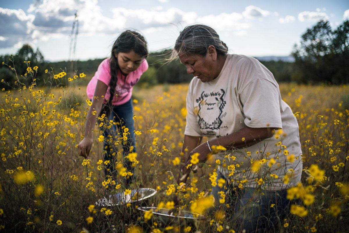 gathers wild amaranth seeds with her niece. (Photo credit: Renan Ozturk)