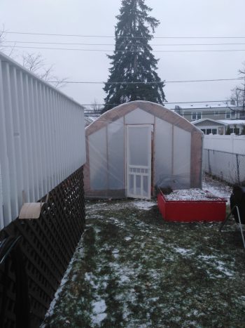 The Virgil's hoop house in winter.