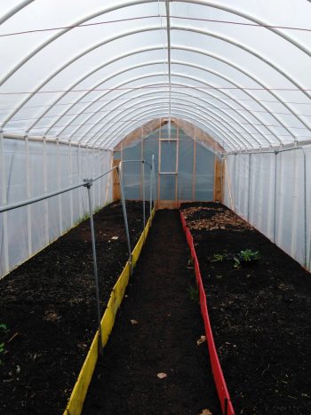 Inside the Virgil's hoop house.