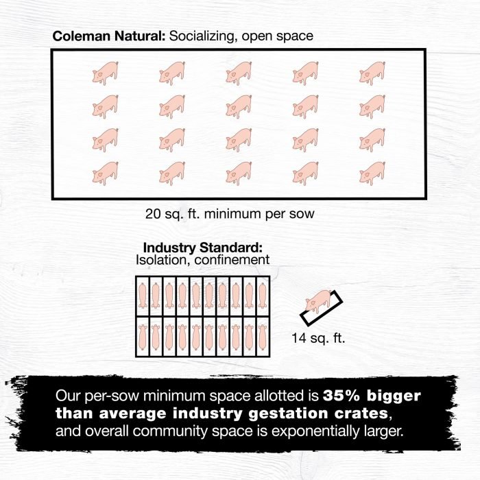 A graphic showing how Coleman allows for open space in their pig housing.