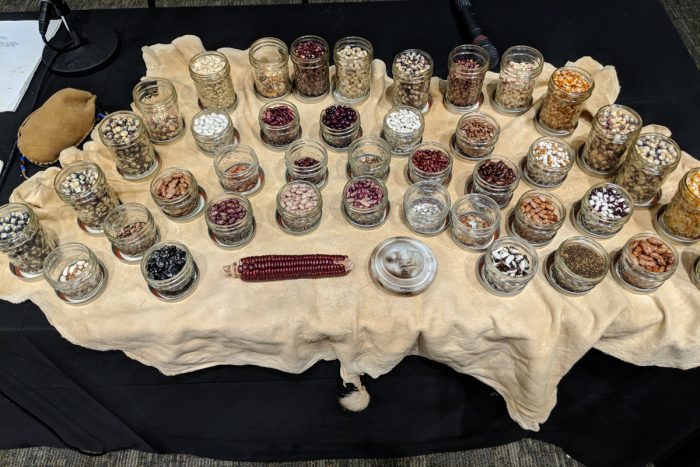 A table full of different varieties of native seeds. Photo courtesy of Rowen White.