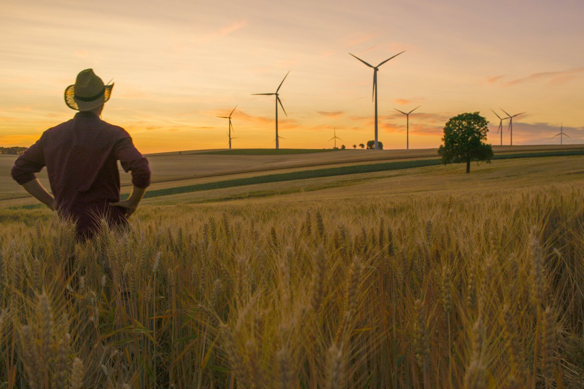 a farmer stares at windmills on his farm as he thinks about climate change and regenerative agriculture