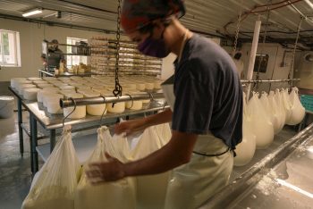 Workers making cheese at Lively Run Dairy in September. Because the Messmer brothers were able to refashion their operation, they were also able to keep their workers employed.