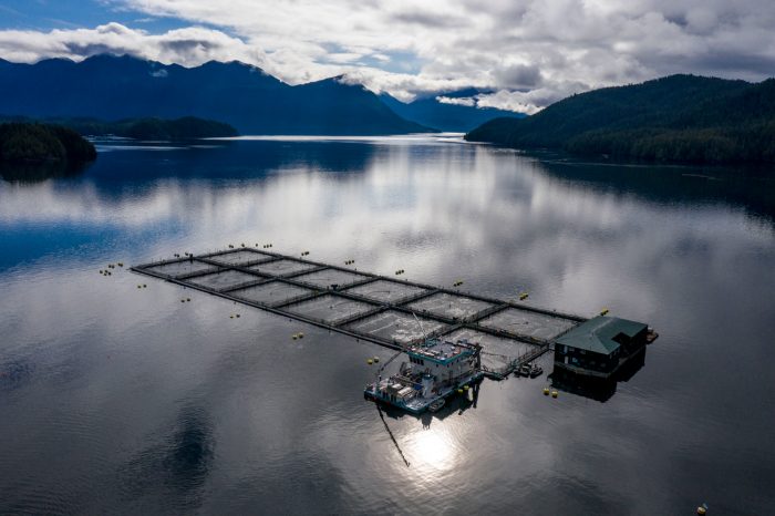 A Cermaq fish farm in Ahousaht First Nation's tradiotional territory at Saranac Island in Clayoqout Sound.