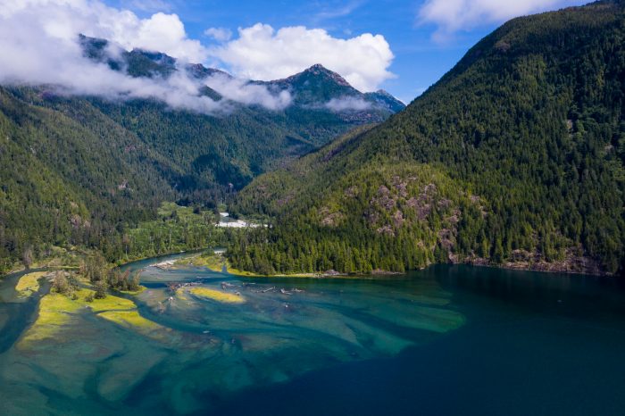 The mouth of the Moyeha River were it empties into Clayoqout Sound. Almost the entire river's watershed is protected in a provincial park but the salmon runs in the river have crashed.