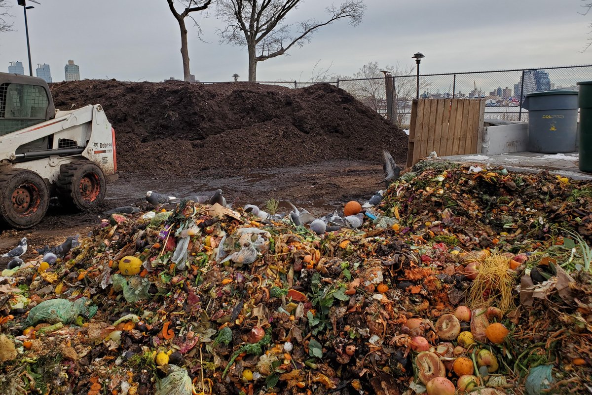 Food scraps at the Lower East Side Ecology Center's compost yard.