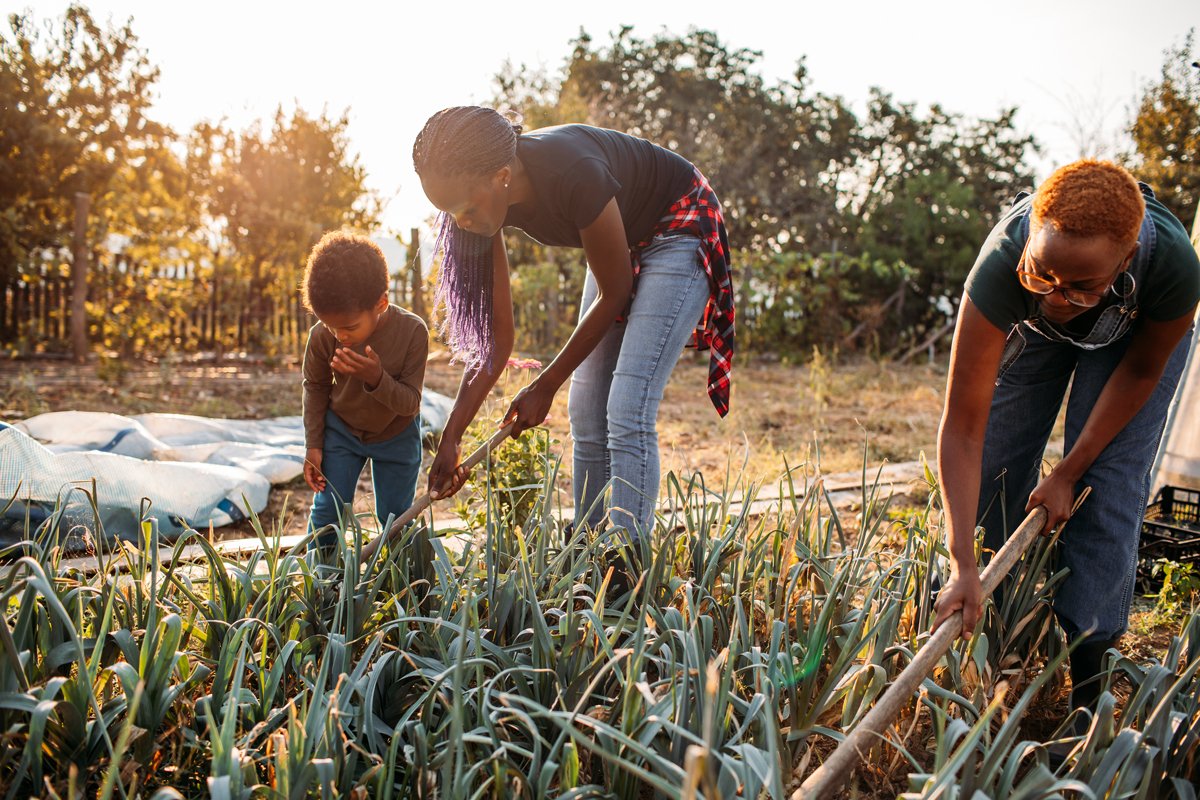 bipoc farmers harvesting crops to sell for parity pricing at the farmers market