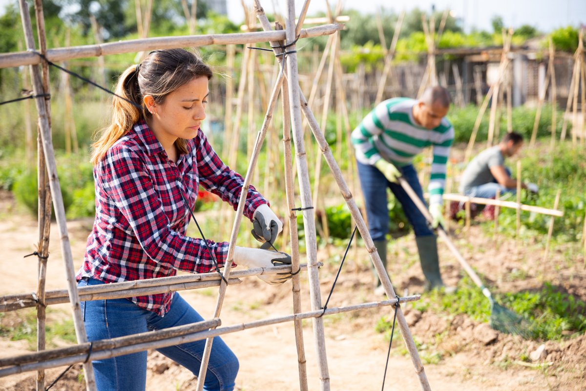 young farmers who are carrying high levels of student debt are working in the field