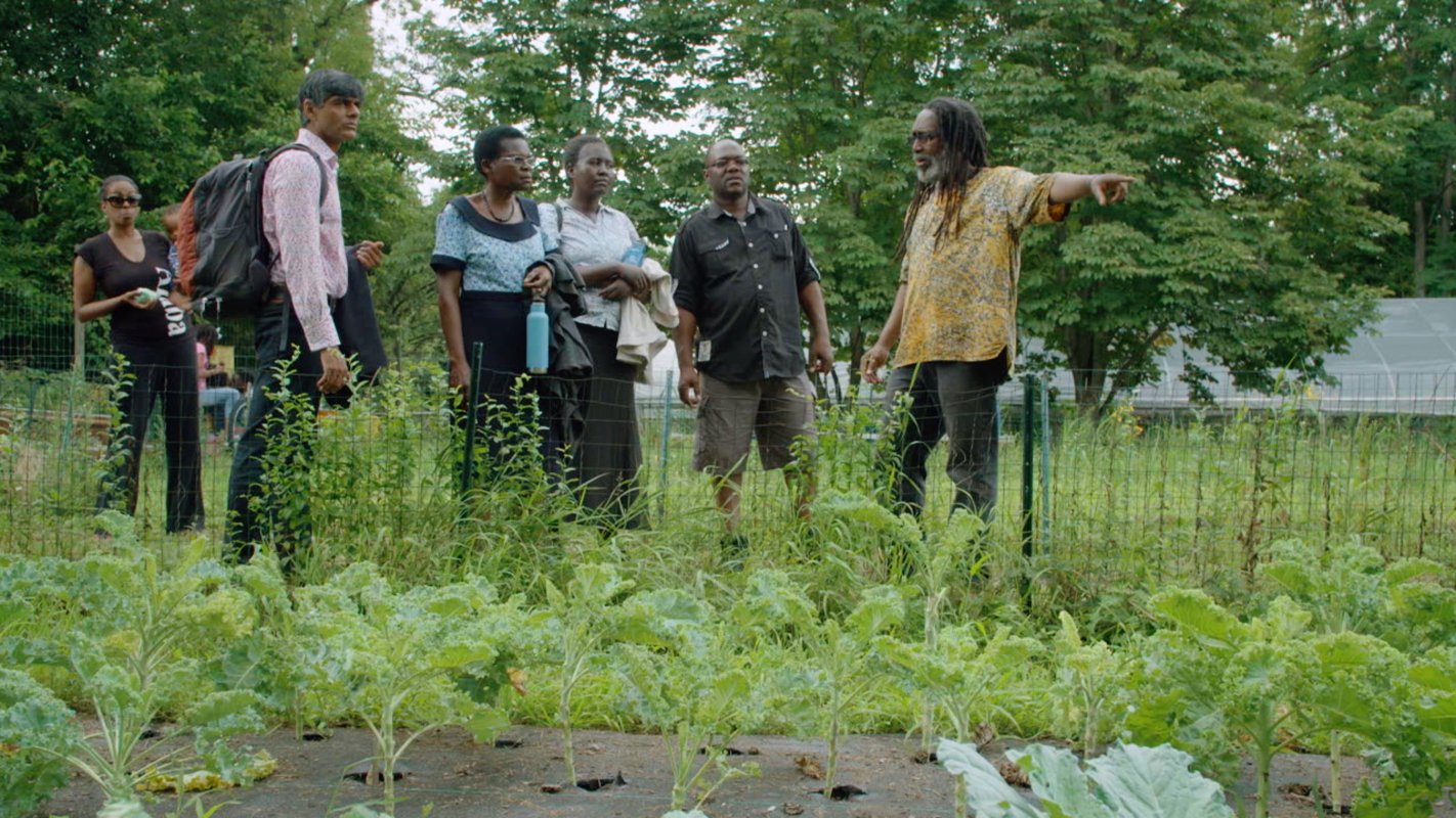 From right, Malik Yakini teaches Peter Mazunda, Anita Chitaya, Esther Lupafya and Raj Patel (and a bystander) about irrigation on D-Town Farm, Detroit, Michigan.