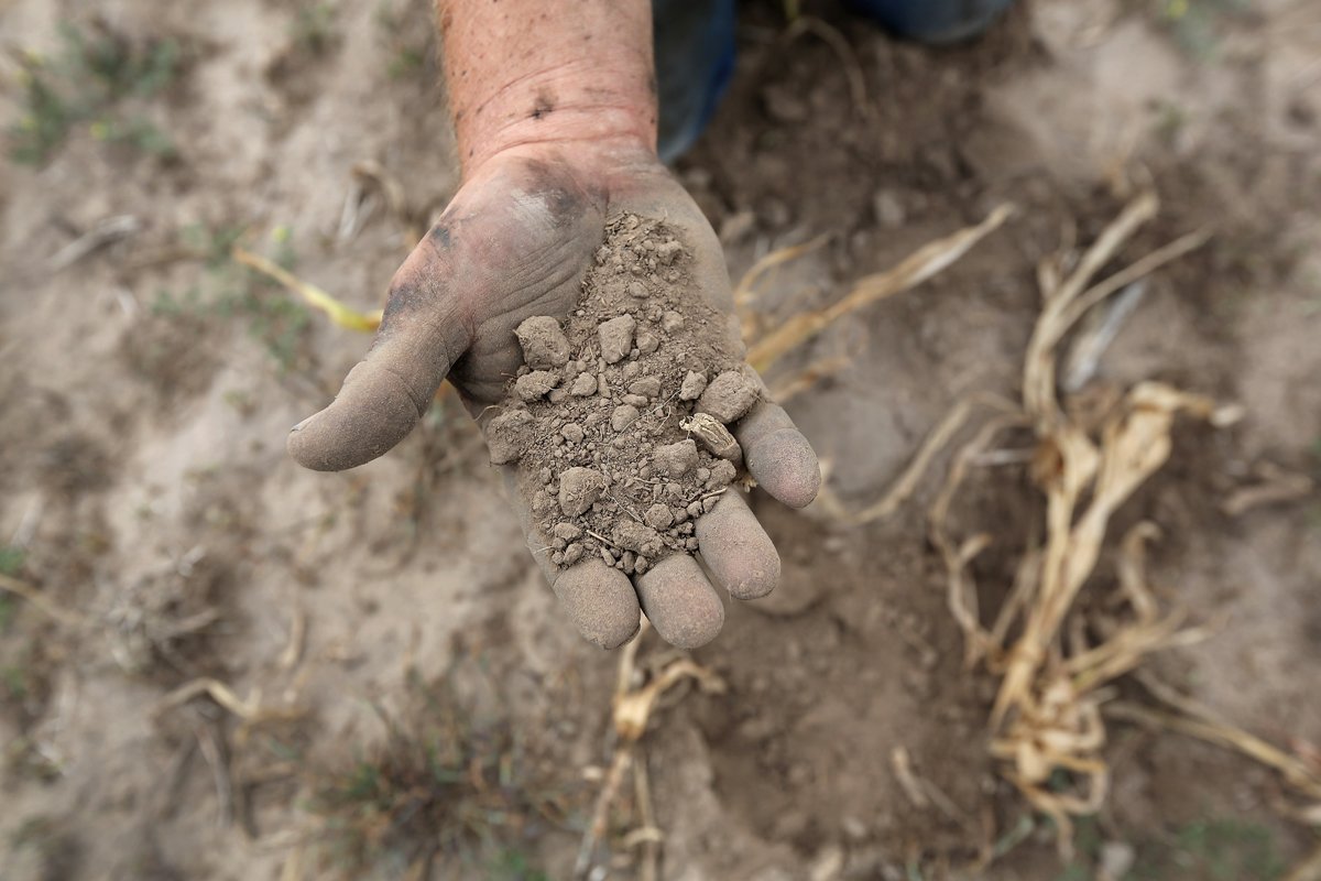 A California farmer facing drought holds dried out soil in his hand