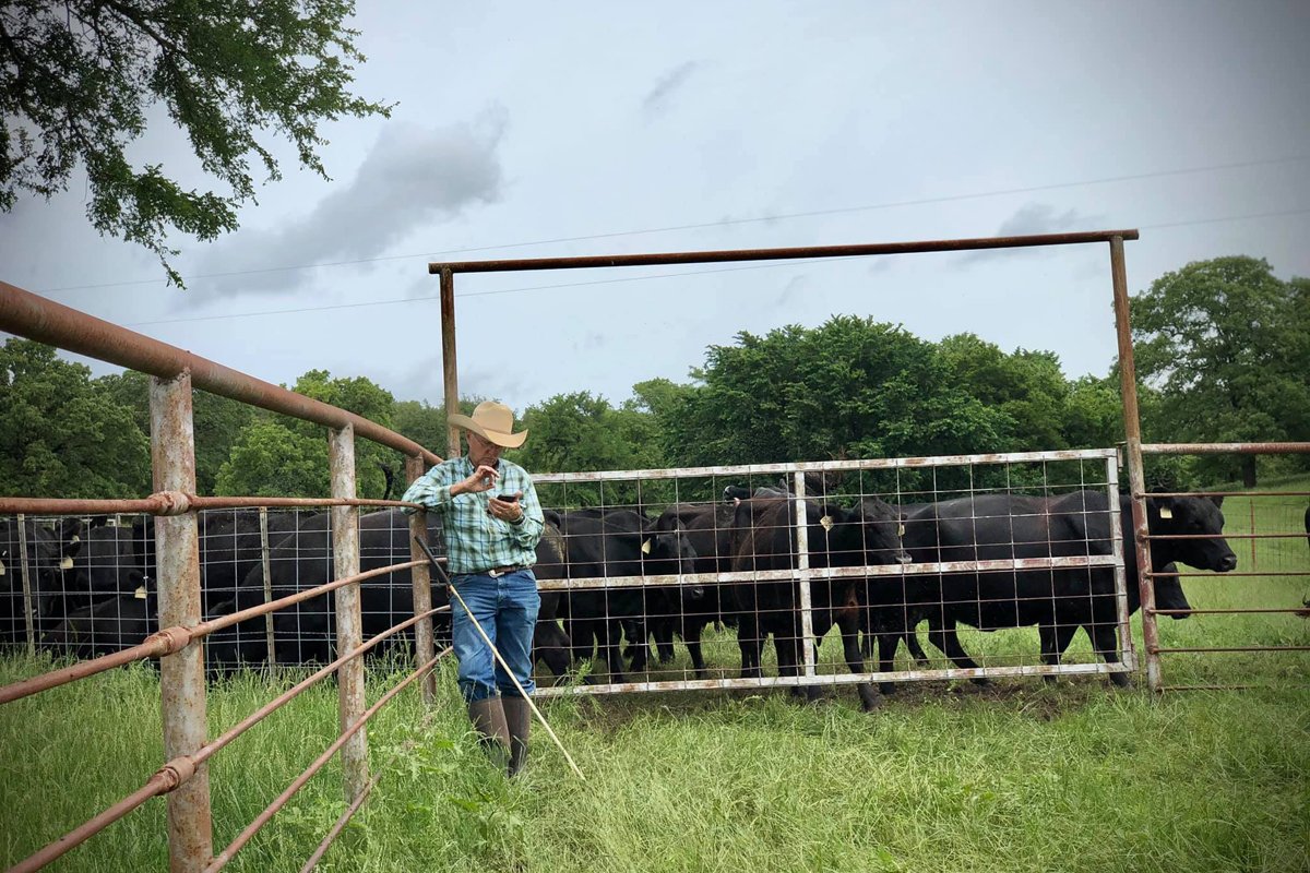 GC Ellis standing outside a gate on G-Bar-C Ranch with cattle in the background.