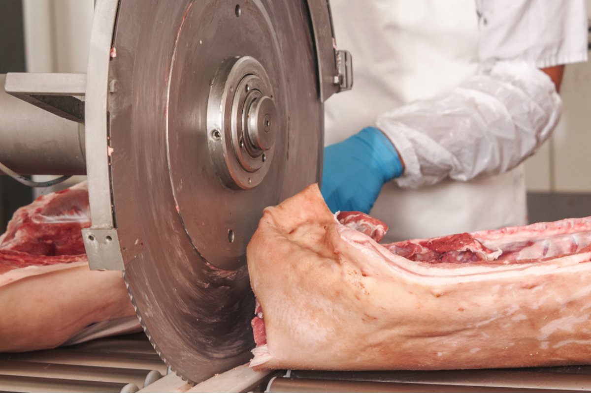 a meatpacking plant worker uses a saw to cut through a slab of meat