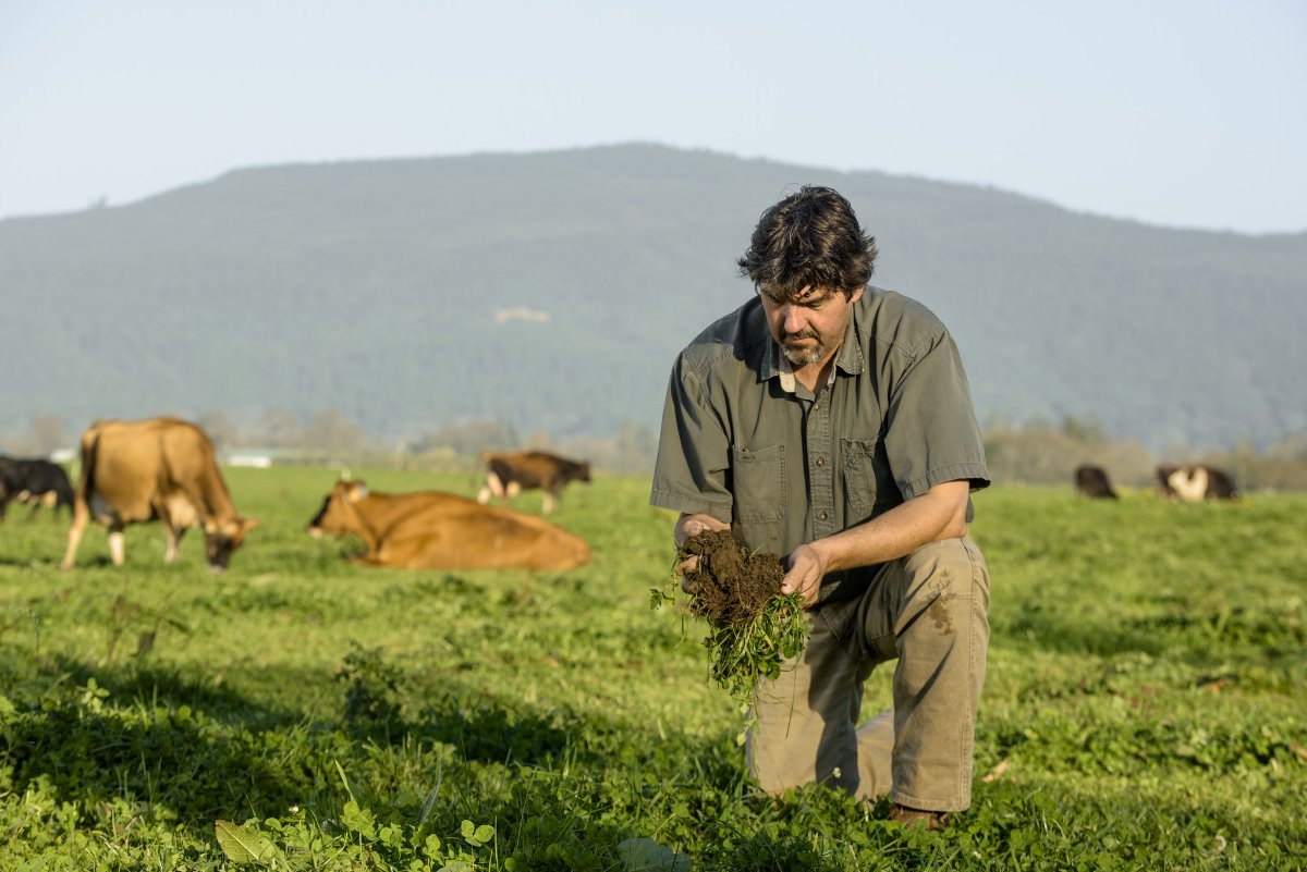 Blake Alexandre checking on the vitality of the soil on Alexandre Family Farm.