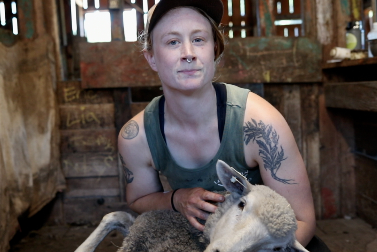 Lora Kinkaid holding a sheep before shearing.