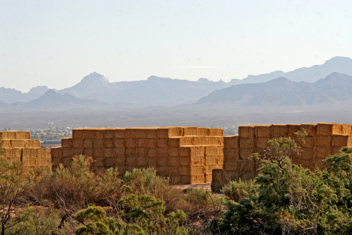 Stacks of rectangle hay bales stacked high in the Mohave Valley Arizona