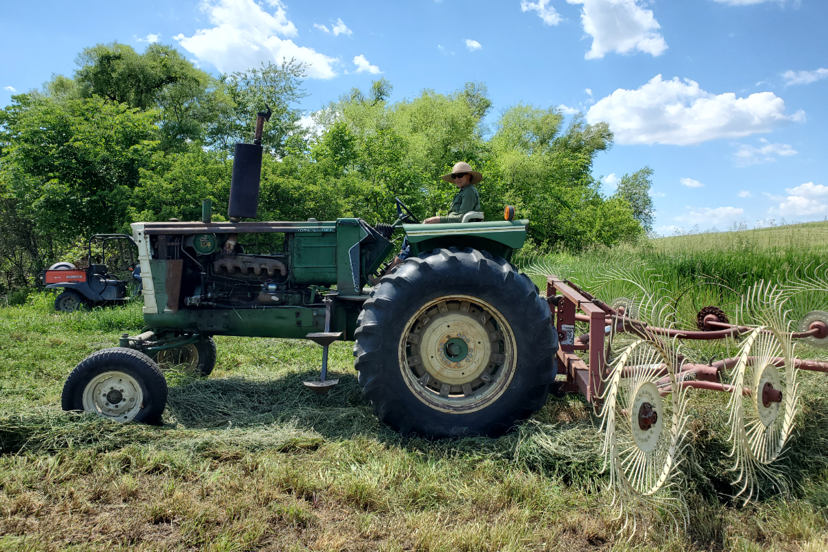 Beth Hoffman raking hay on her tractor.