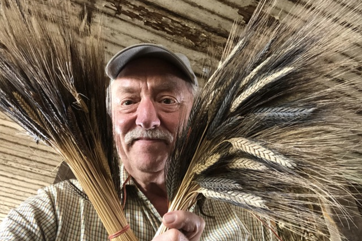 Don Lewis holding heritage wheat