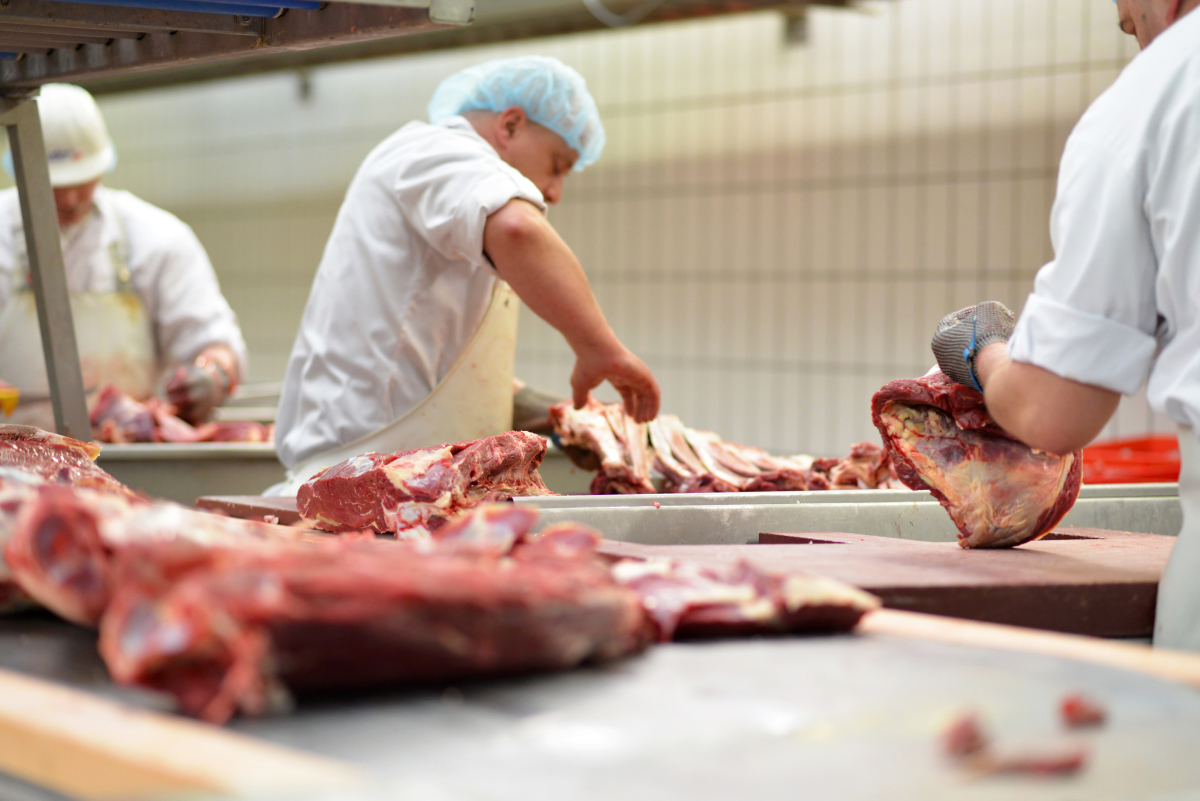 workplace food industry - factory butchery for the production of sausages - butcher cuts meat