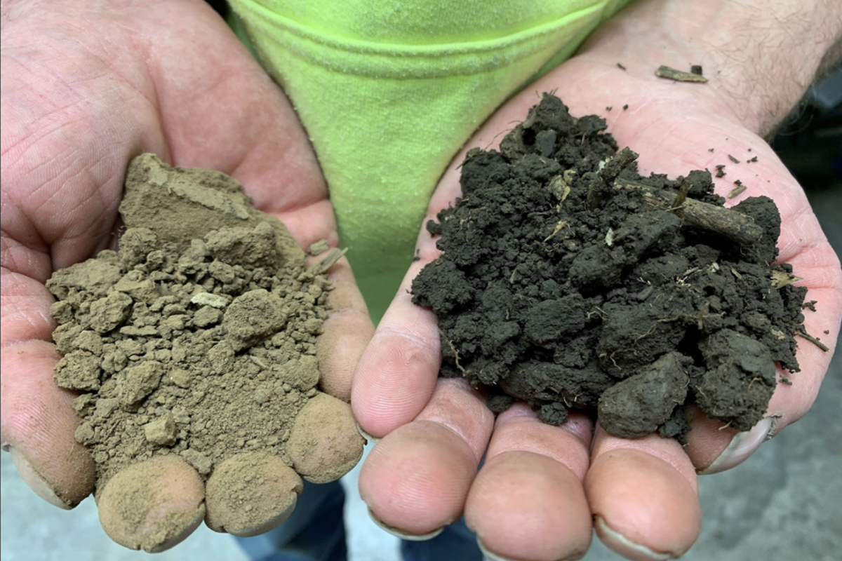 The dark-colored soil (right) has been farmed no-till and with cover crops for decades, while the pale one (right) is from a tilled field with no cover crops across the road. Photo by Dale Strickler.