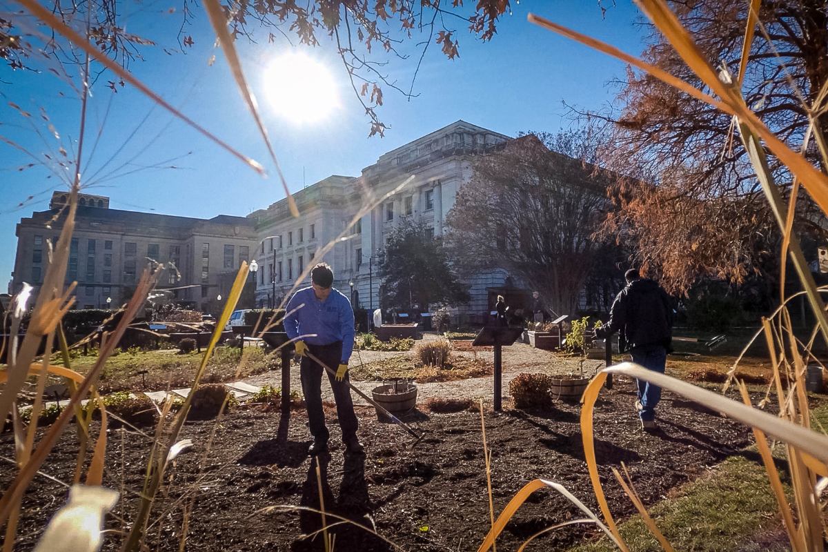 USDA employees plant Cereal Rye as a cover crop in the garden beds of the urban farm outside of the Department of Agriculture Whitten Building in Washington, D.C., December 15, 2021. (USDA photo by Preston Keres)