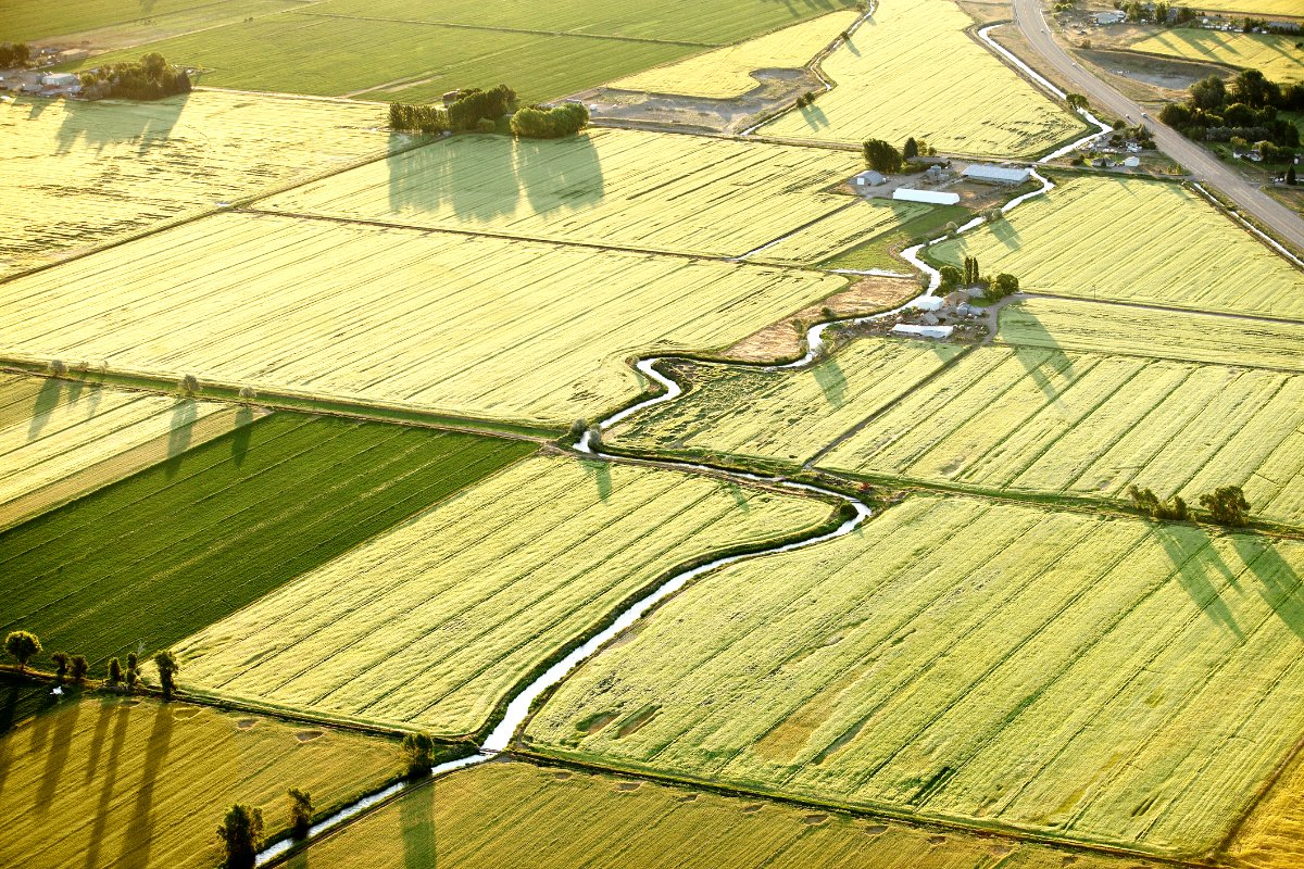 An aerial view of farmland and irrigation canals running through the fields.