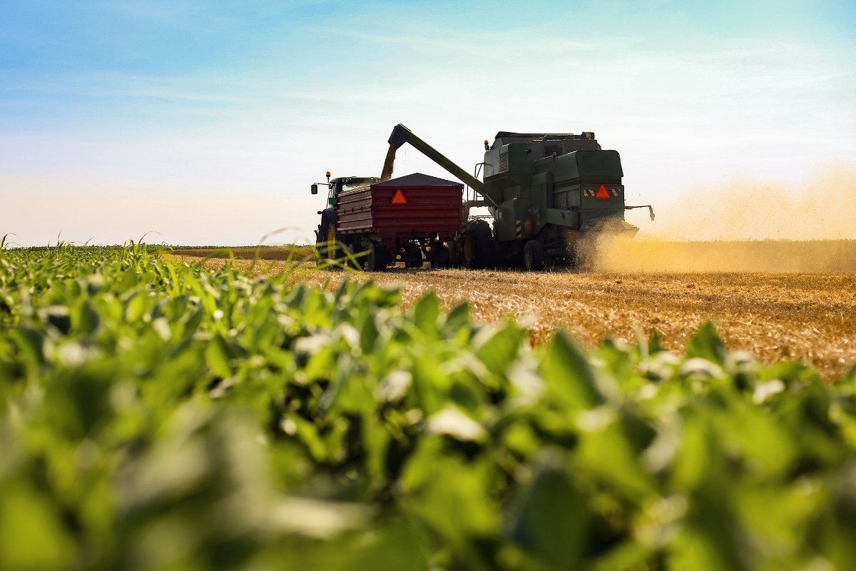 industrial agriculture tractors working in a corn or soy or wheat field