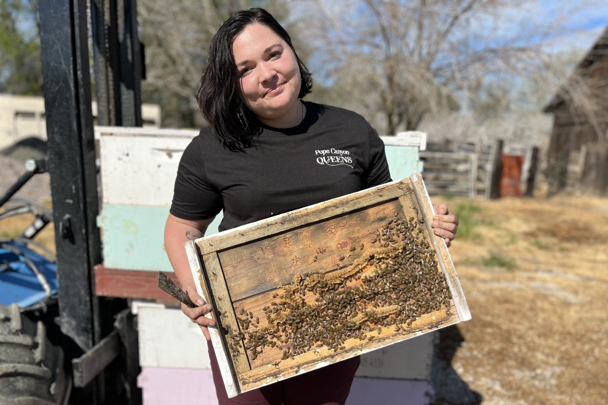 Caroline Yelle holds a frame from her beehives while searching for a healthy queen bee.