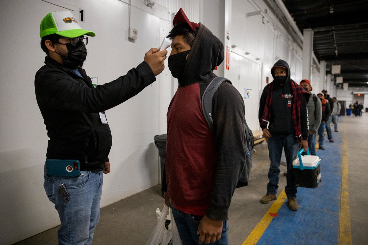 Migrant farm laborers have their temperature checked in King City, California. (Photo credit: Brent Stirton, Getty Images)