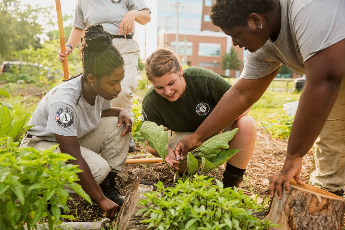 AmeriCorps NCCC provides environmental stewardship in Baltimore.