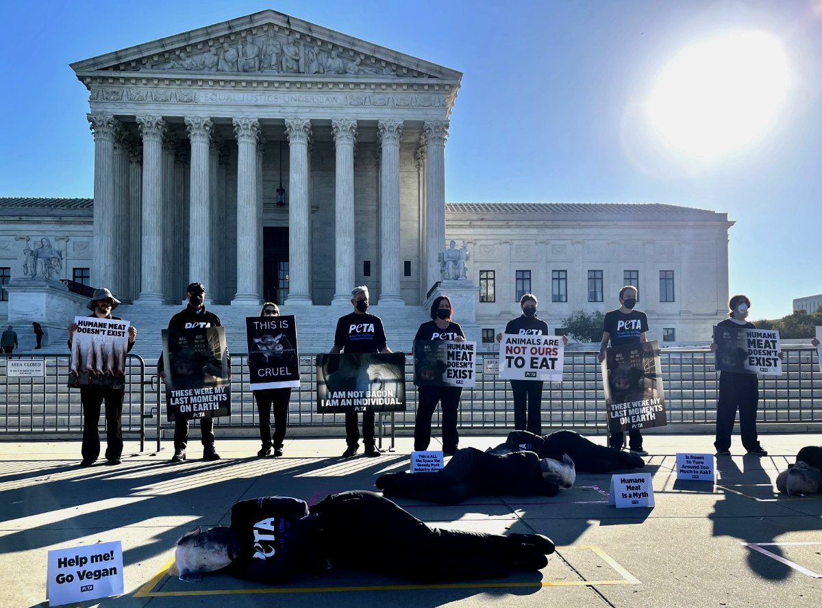 PETA protesters outside the Supreme Court on the morning before oral arguments take place in NPPC v. Ross. (Photo Credit: Lisa Held)