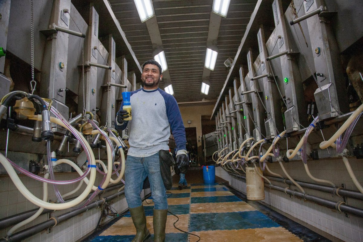 A happy and healthy-looking worker in a clean and well-lit dairy. Photo credit: Vera Chang.