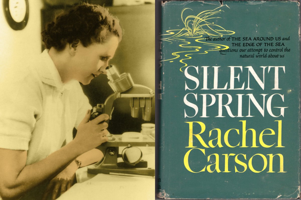 Rachel Carson and the original cover of Silent Spring