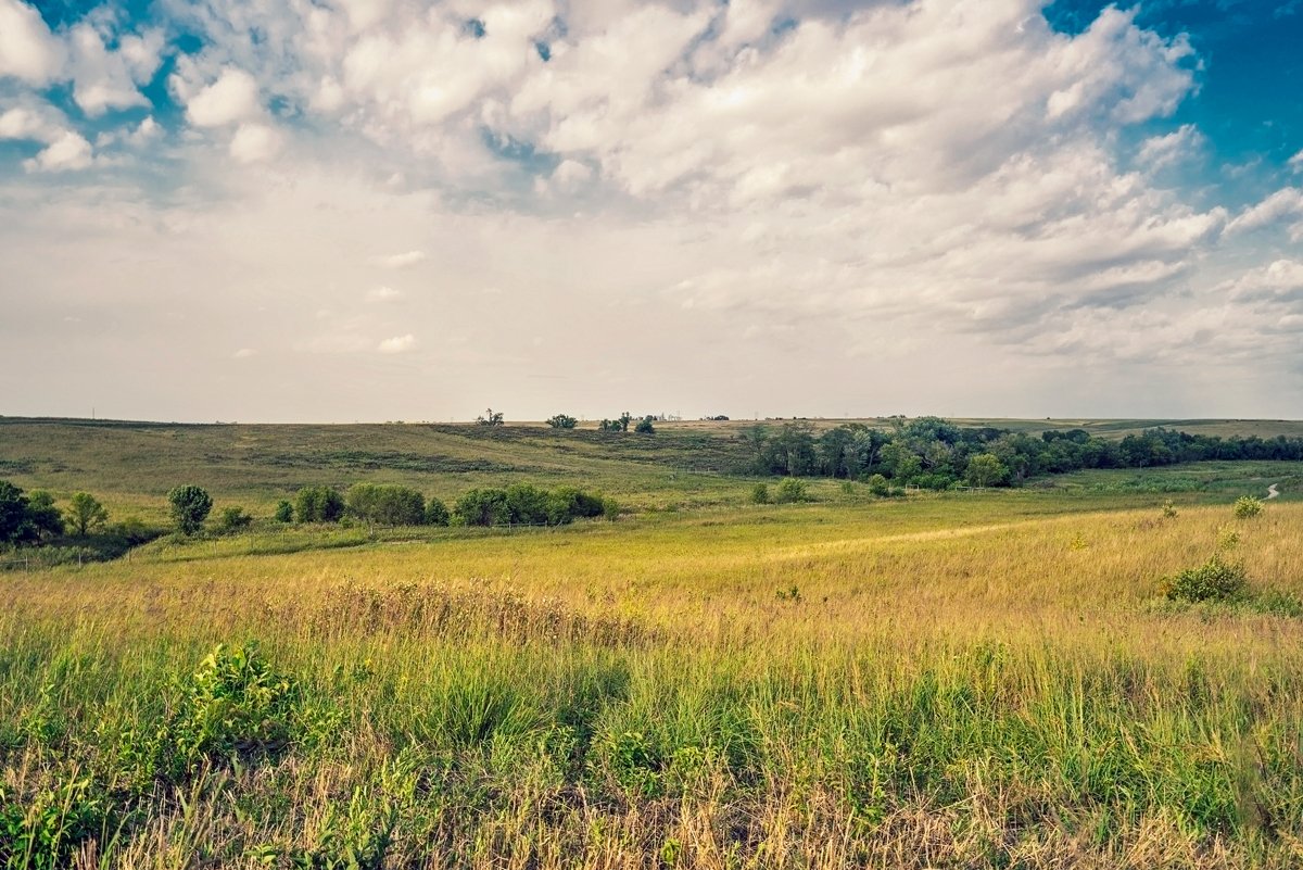 Iowa prairie landscape