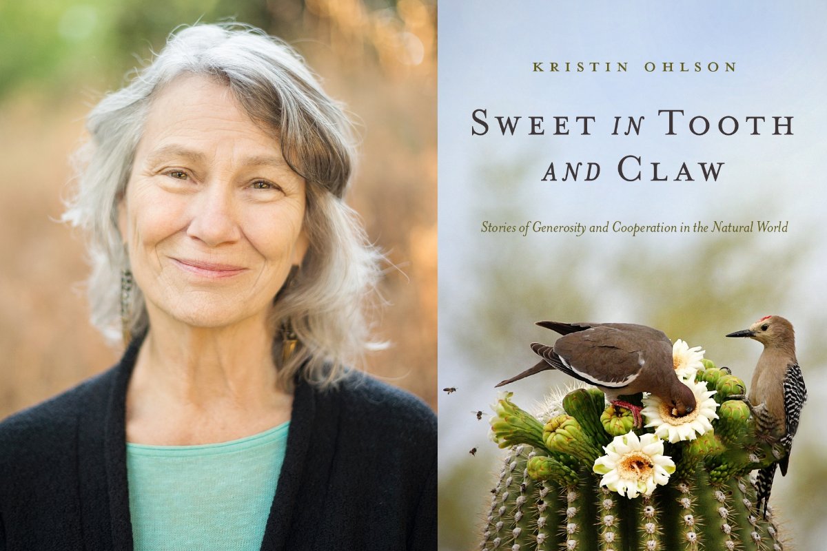 Kristin Ohlson and the cover of her book, sweet in tooth and claw