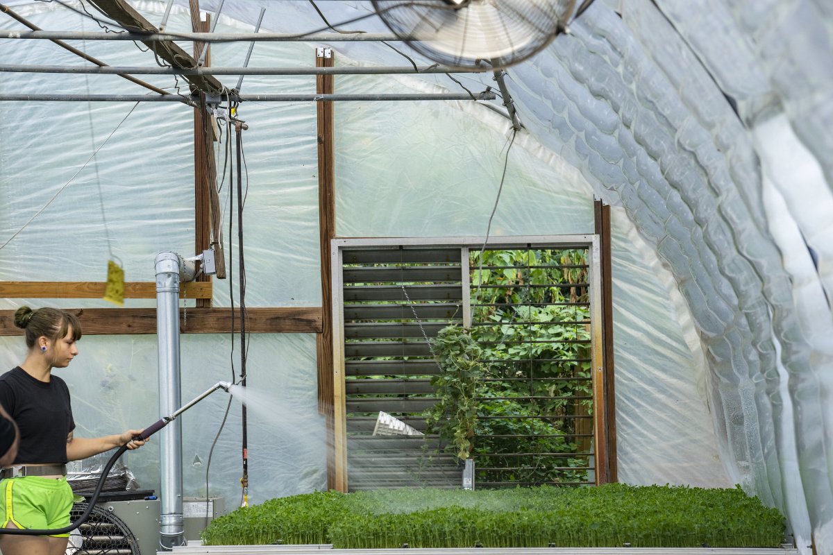 A grower at City Roots Farm in Columbia, S.C., waters the microgreens at the family-owned local organic vegetable farm.