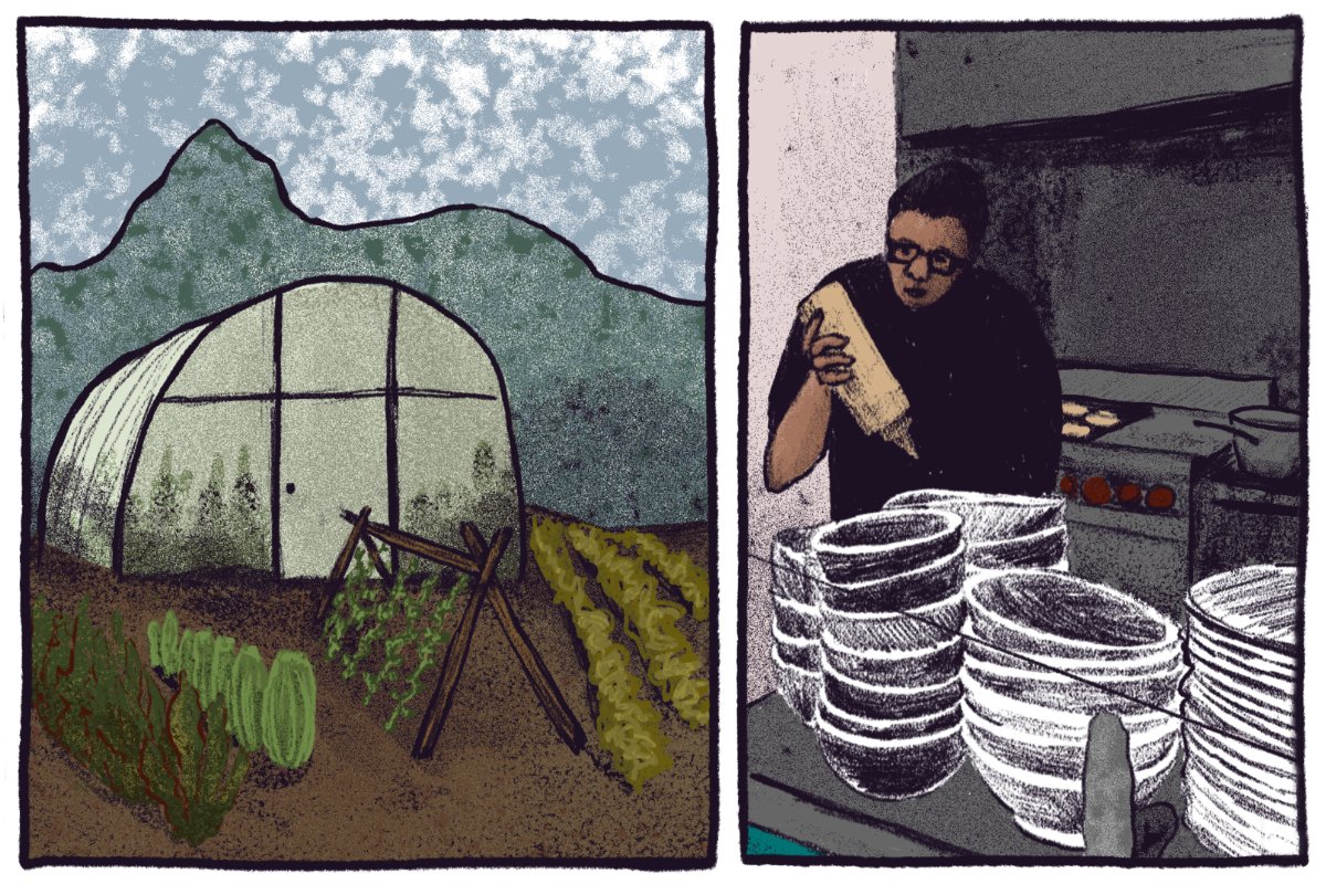 A two-panel comic of a test farm hoop house growing corn and cactus and other crops on the left, with chef lisette garay working in her restaurant kitchen on the right.