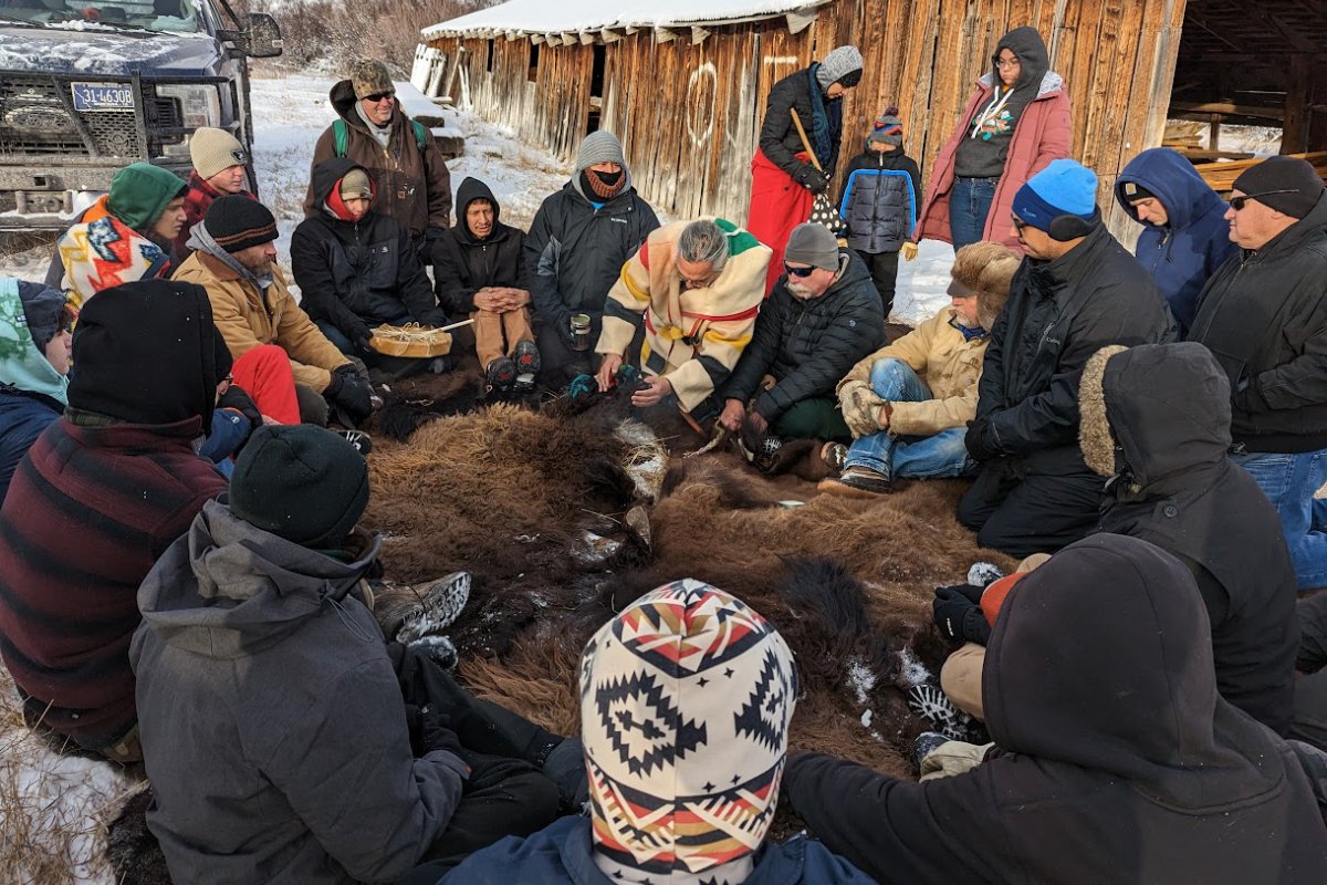 Indigenous and non-native Great Falls students and staff gather around hides of six bison, including a freshly killed bison, as Indian Education Director Dugan Coburn (in blanket coat) demonstrates skinning the bison and honoring its life with thanks with a sage-burning and pipe prayer. The sage smudge burns away any bad energy. Sweetgrass burning welcomes the good. (Photo credit: Great Falls Public Schools)